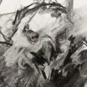 Profile photo of Sarah Devlin