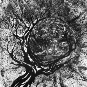 Profile photo of Jeff Edwards