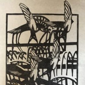 Profile photo of Ian Campbell