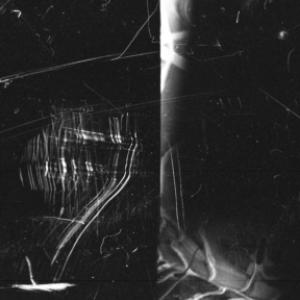 Profile photo of Maria-Cristina Onea