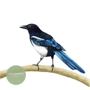 Profile photo of Jessica Buckett