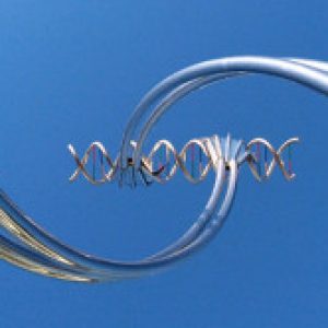 Profile photo of Diane Maclean