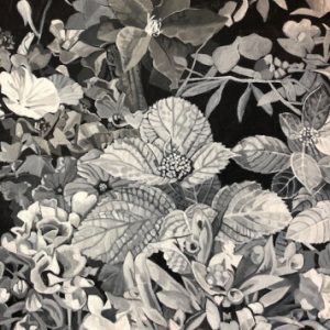 Profile photo of Gayle Nelson PPSSA