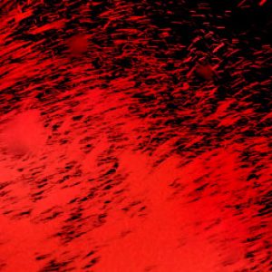 Profile photo of Lin Li