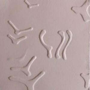 Profile photo of Linda Owens