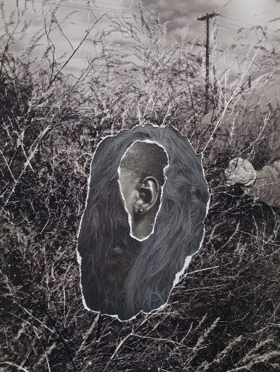 Topography of Self IV 1mb