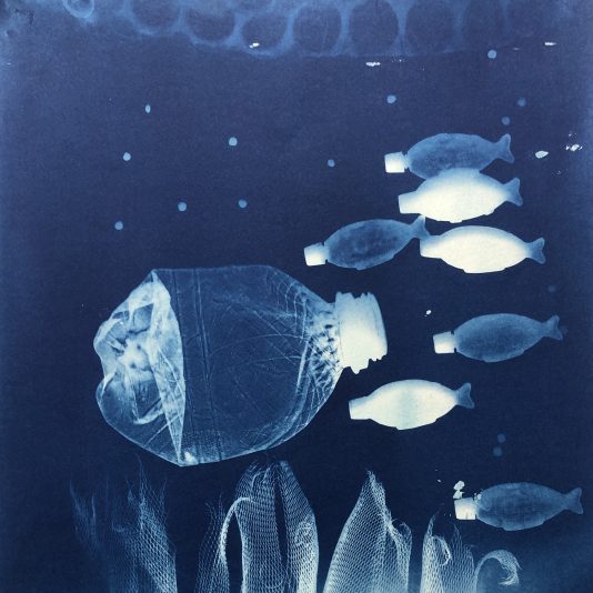 C9A5F911-2210-42F3-A45D-A011C9D58F99