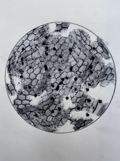 Janet Melrose Dust ground pigments and powders