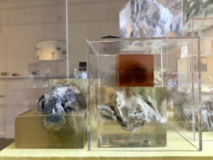 AL Kieran 'Planting Such Things' detail - vacma report