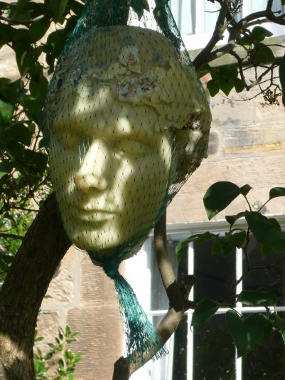 2803043384_e1ac47f064_o