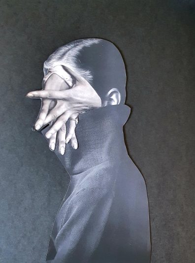 COS Perpetual mimicry I