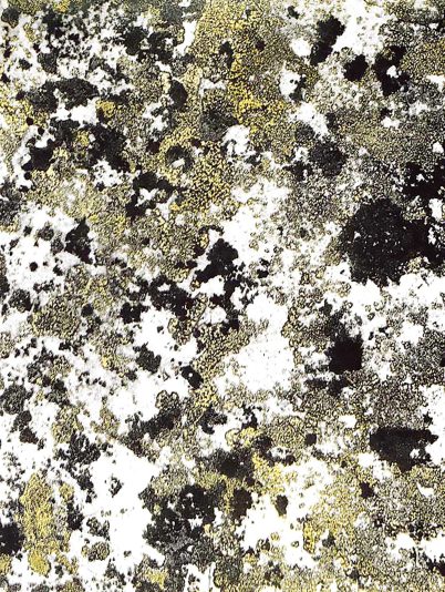 Marking Time #1 (yellow), 2021, 38.5 x 47 cm, Lithograph