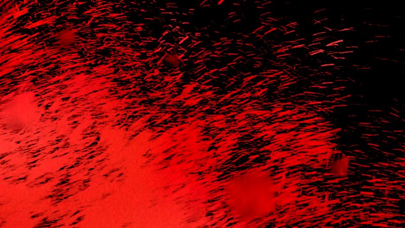 Li _'I AmSoTired'_still