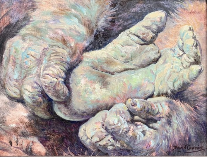 ED9606D4-A3BE-48E0-9E52-6751B2EF5BEE