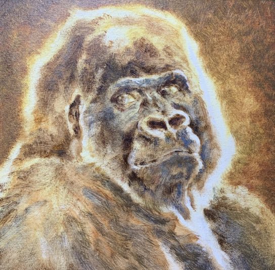 BB6A7DE3-894F-493C-8F41-F8CA8DC61F20