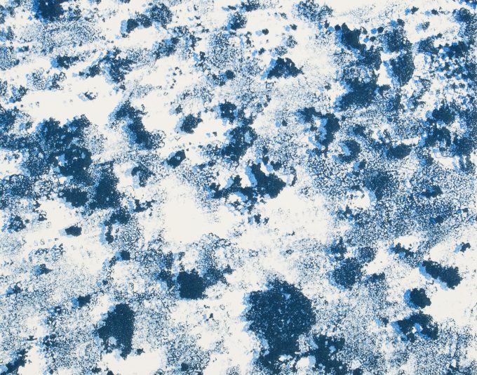 Lichen Shift, 2021, 26 x 20 cm, Lithograph