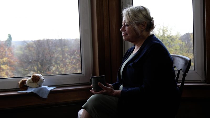 Lin Li The Last Companion still 2