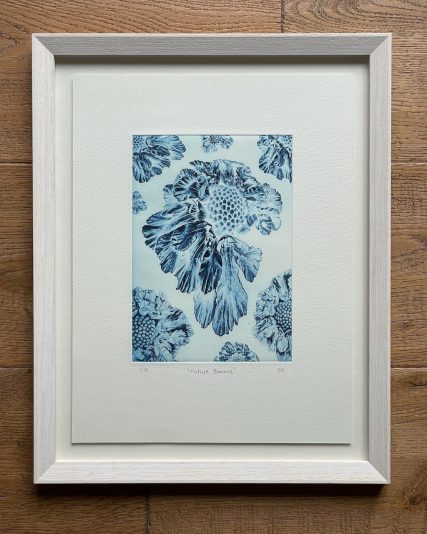 Paul Fieldsend Bloom - Future Blooms