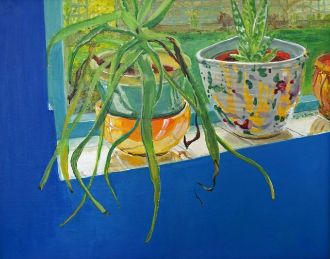 KONICA MINOLTA DIGITAL CAMERA