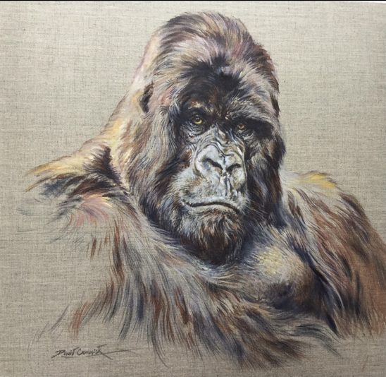 75E85EDB-2690-40AA-8822-6C02BEA80D46