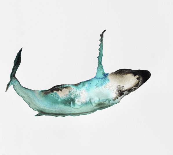 Whale in Ink L S MacMillan