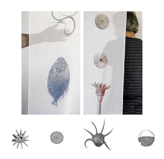 sea fossils - silk banner