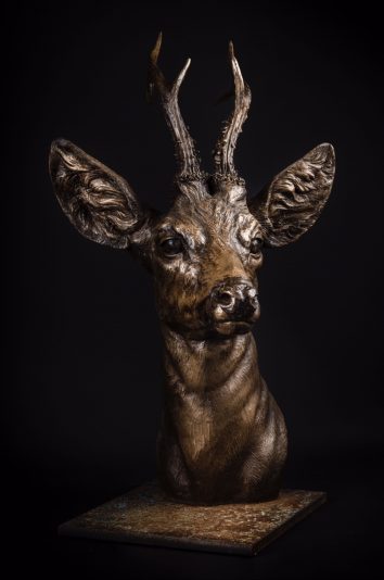 444E9AF8-9B9F-4464-A9C5-7C2D3645760F