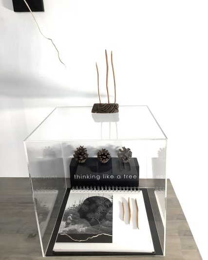 2.thinking like a tree