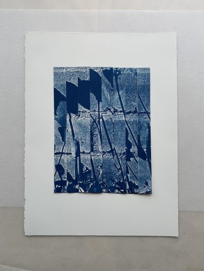 Cyanotype