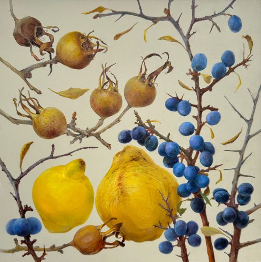 optimised--The-Colours-of-Autumn-SSA