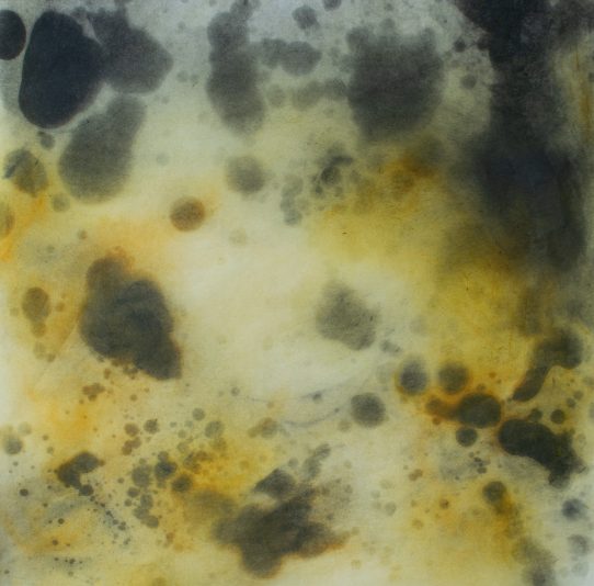 Paradox #2,2021, 64 x 61 cm, Mixed media on Japanese paper