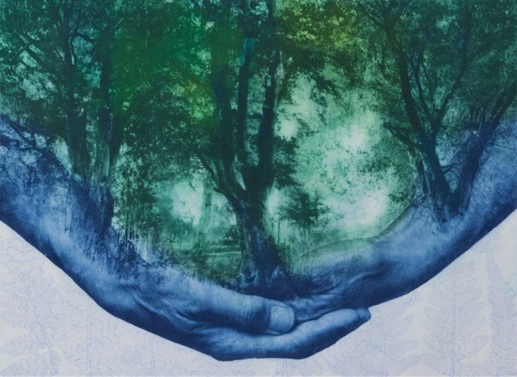 L R Kosciewicz - Holding nature in the palm of my hand