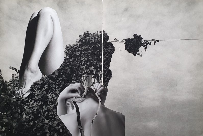 Topography of Self III. 1mb