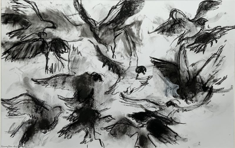 birds reduced size more