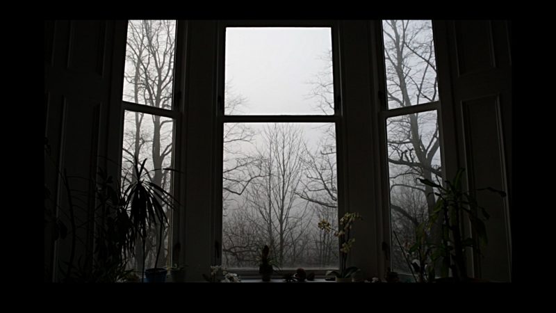 Lin Li Appearance still 2