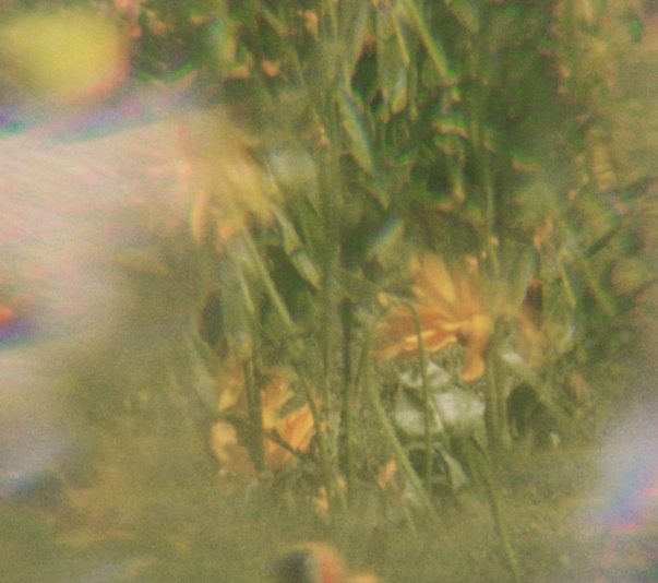 6BE5DBFC-25FA-40F6-BB7F-4840949E3E9B