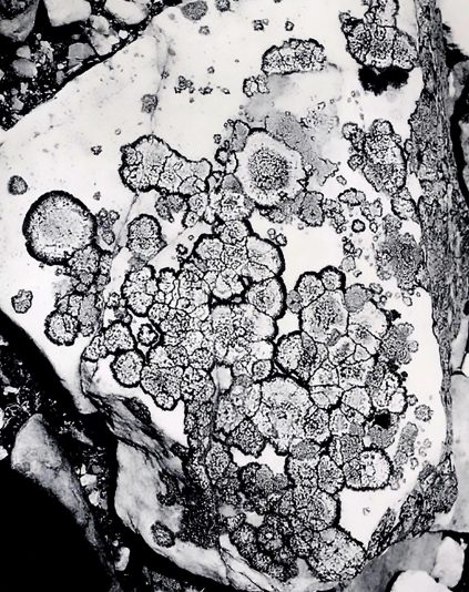 Marking Time #3, 2021, 38.5 x 47, Lithograph.