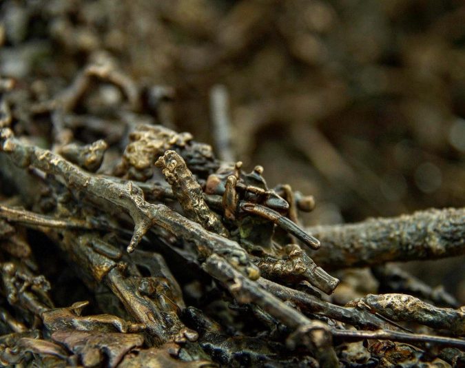 065953A5-0CFA-4831-82EB-81B2E5990979