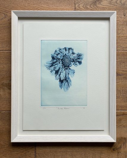 Paul Fieldsend Bloom - Painted Bloom