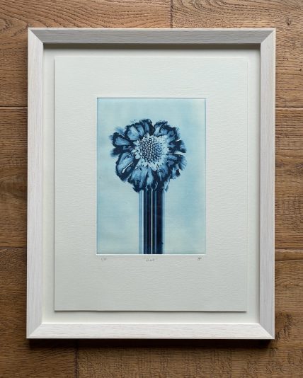 Paul Fieldsend Bloom - Dint