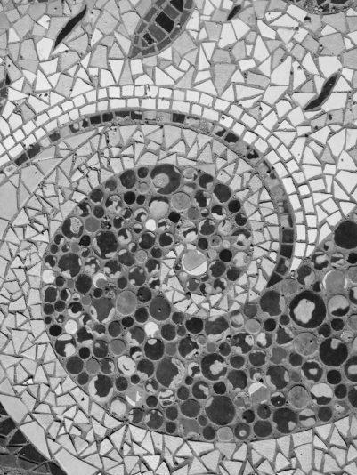 33963208_10211614254257265_1574008353233829888_n