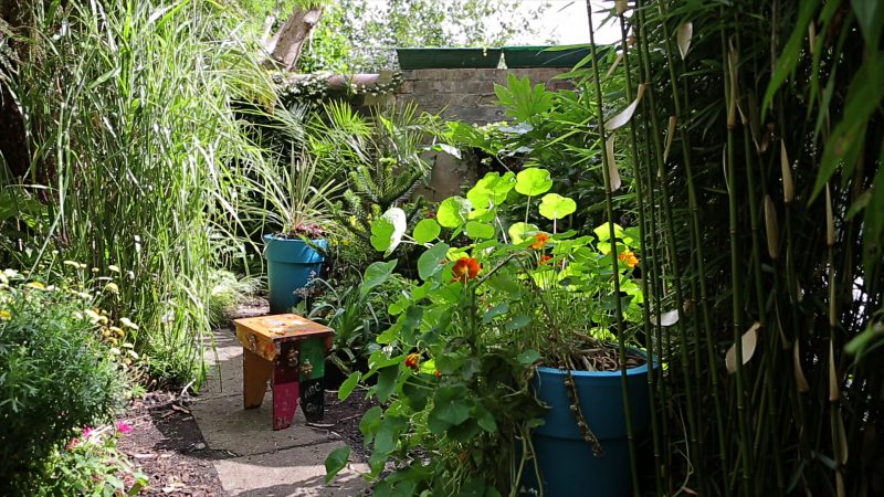 Lin Li Above Us still2