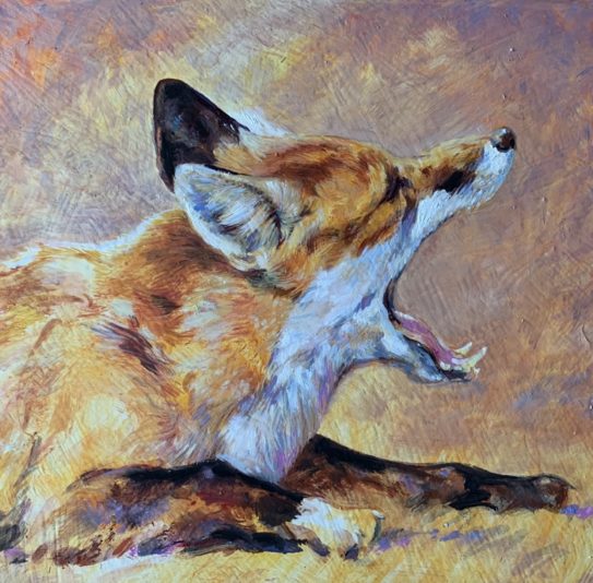 5BC9B778-60FC-41E6-8647-EDB5A53942A4