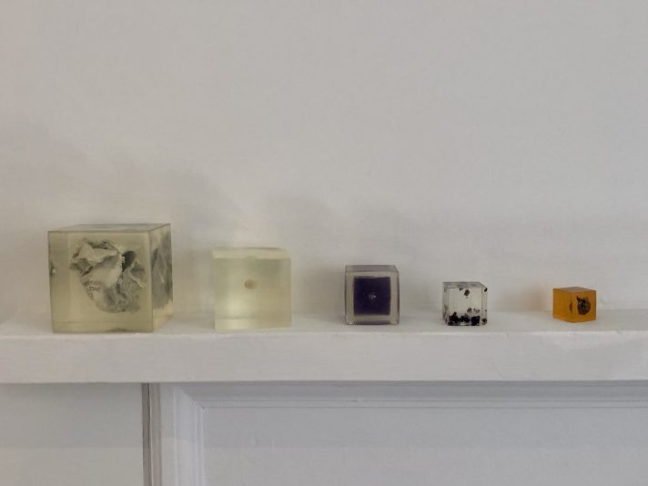 A-L Kieran 'Planting Such Things' detail - vacma report